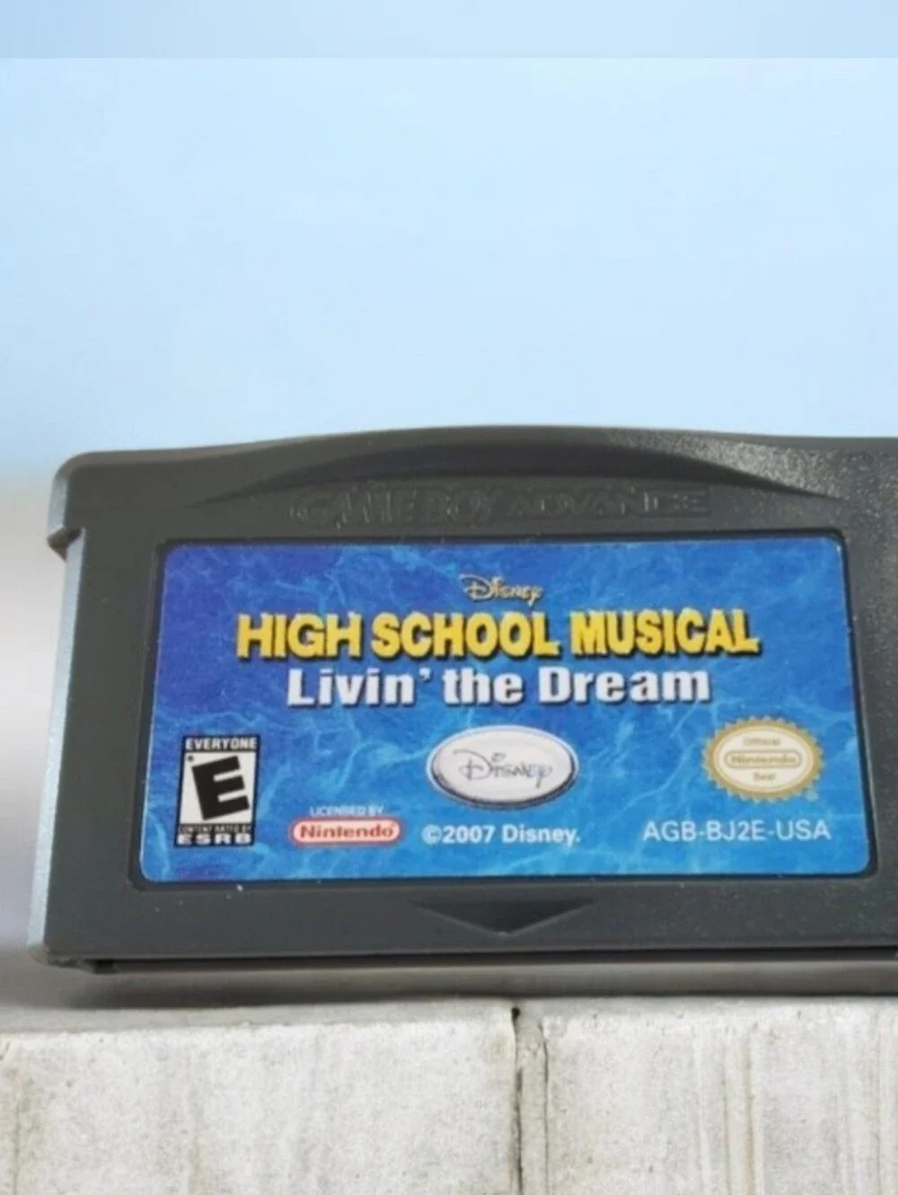 Disney High School Musical Living The Dream Game Boy Advance *TESTED*